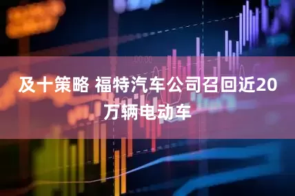 及十策略 福特汽车公司召回近20万辆电动车