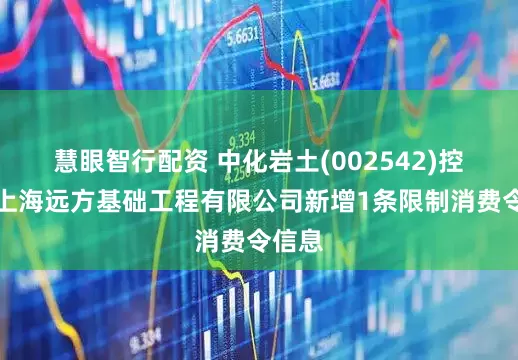 慧眼智行配资 中化岩土(002542)控股的上海远方基础工程有限公司新增1条限制消费令信息