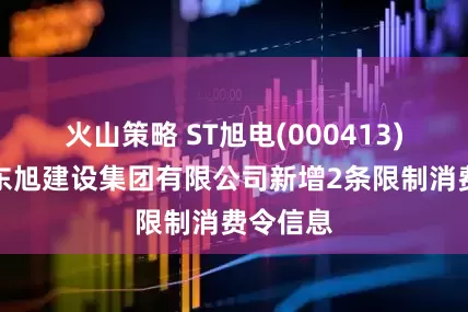 火山策略 ST旭电(000413)控股的东旭建设集团有限公司新增2条限制消费令信息