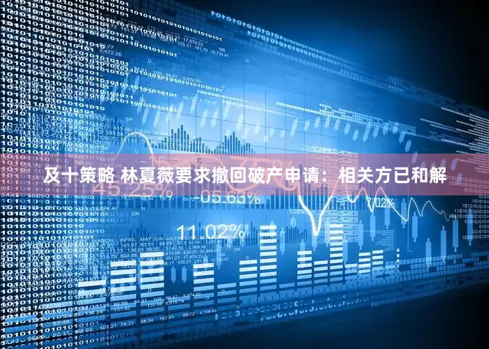 及十策略 林夏薇要求撤回破产申请：相关方已和解