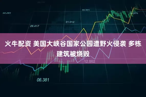 火牛配资 美国大峡谷国家公园遭野火侵袭 多栋建筑被烧毁