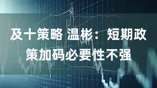及十策略 温彬：短期政策加码必要性不强